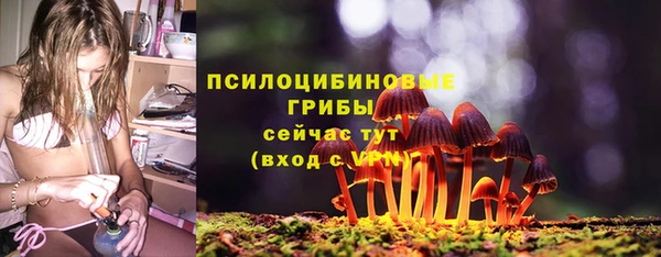 а пвп мука Горно-Алтайск